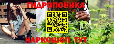 стафф Бугуруслан