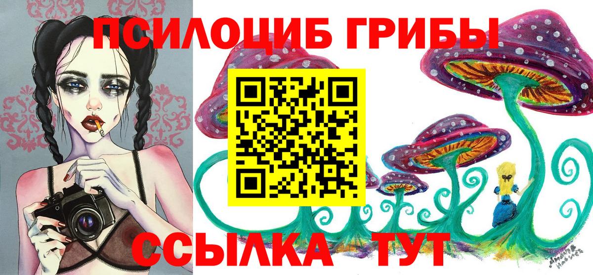 Владимир  Галлюциногенные грибы Cubensis  Вход с VPN 
