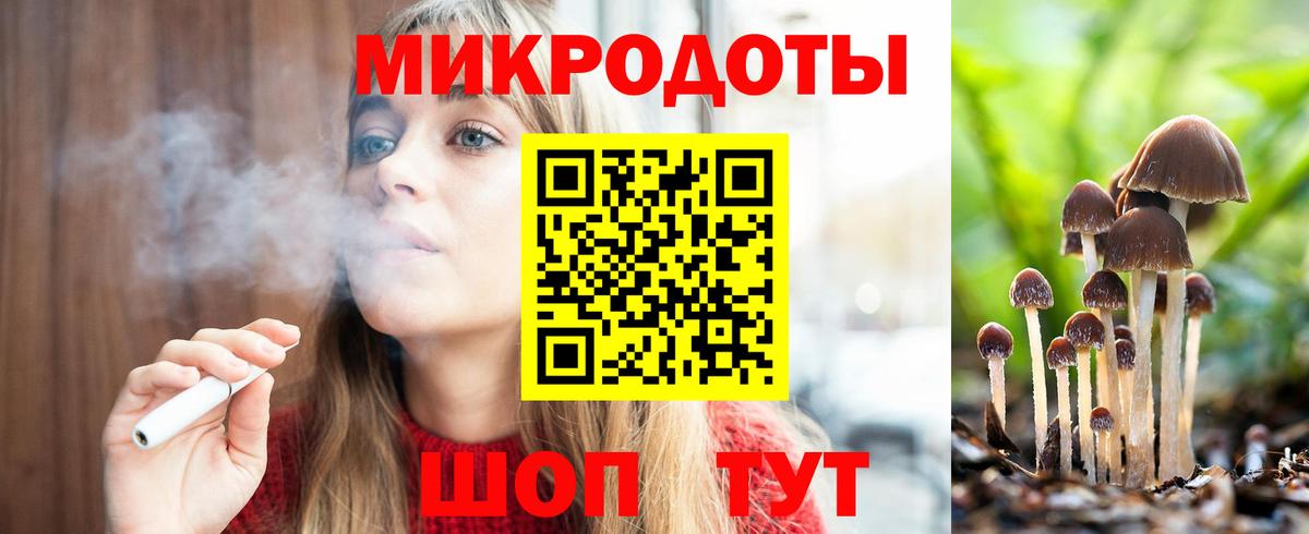 Псилоцибиновые грибы Psilocybine cubensis  Галлюциногенные грибы Psilocybine cubensis  Владимир 